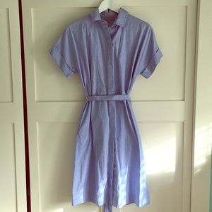 Blue Button Down Dress from Cos